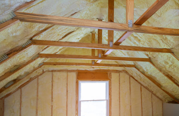 Best Insulation Maintenance and Repair in Dallas, GA