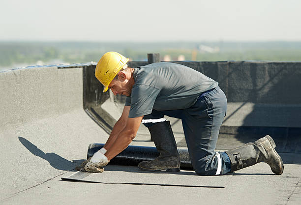 Best Specialized Insulation Services in Dallas, GA